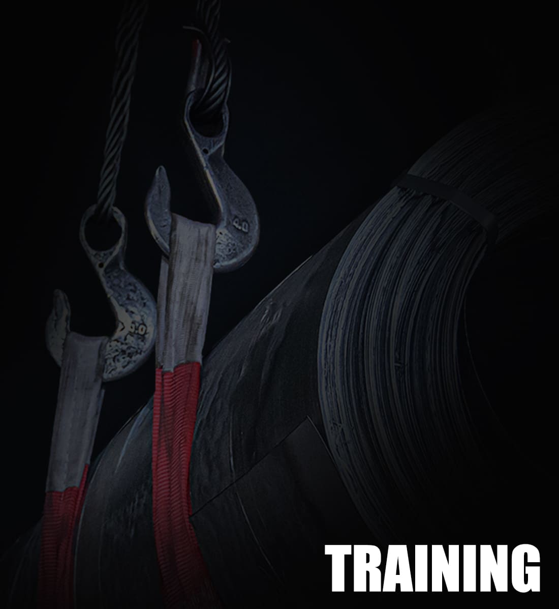 TRAINING REQUIREMENTS